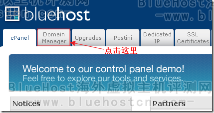 BlueHost-domanager