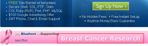 bluehost参与 乳腺癌宣传