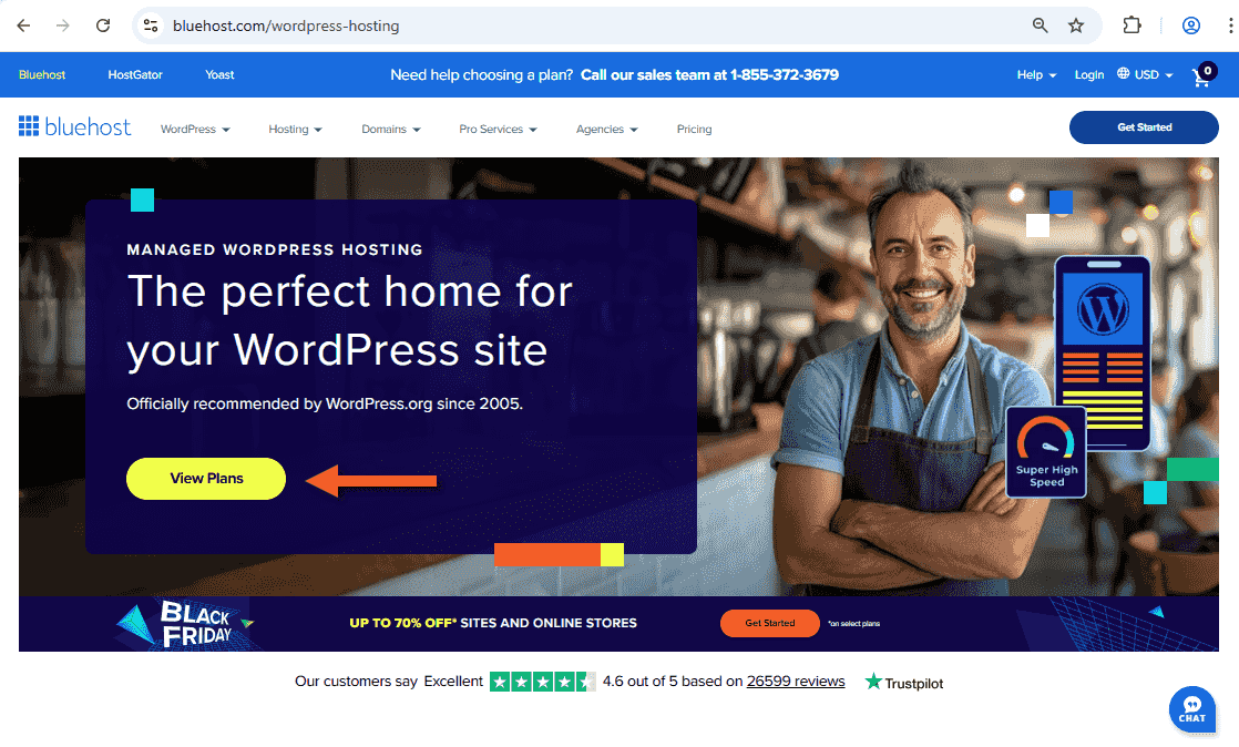 进入 WordPress Hosting 页面